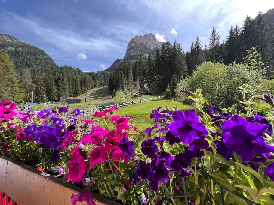 Appartement Sellaronda - Ciampac Experience à Alba di Canazei Extérieur photo